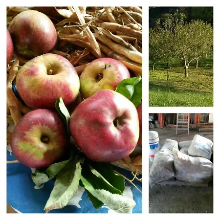 شقة Cerezal 3, Loft En Plena Naturaleza