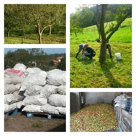 شقة Cerezal 3, Loft En Plena Naturaleza يانس